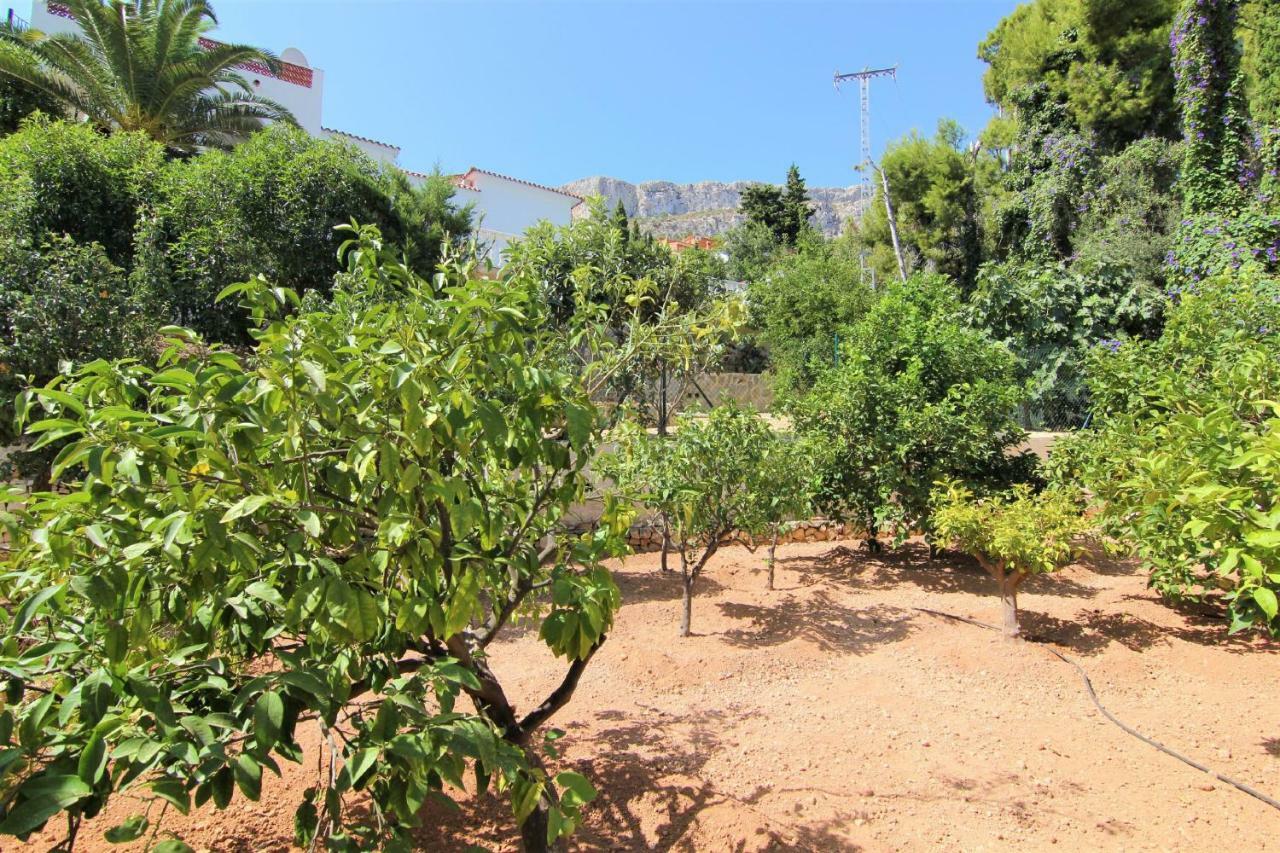 Villavenus Calpe Esterno foto