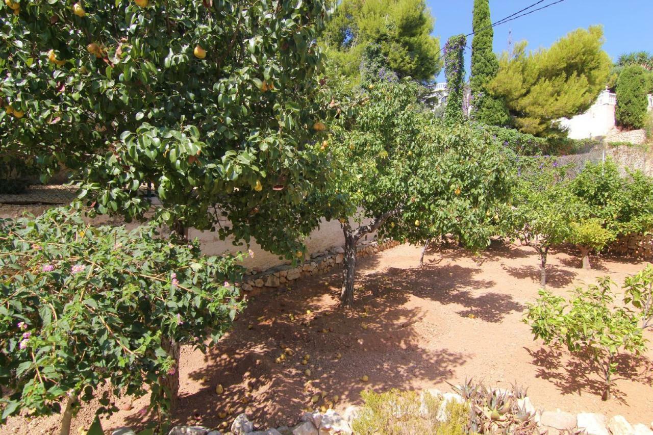Villavenus Calpe Esterno foto